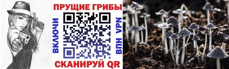 нарко площадка формула  Фролово  Галлюциногенные грибы мухоморы 